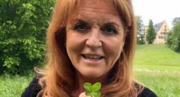 Where's Fergie? From LA guest house to Wiltshire mansion