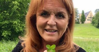 Where's Fergie? From LA guest house to Wiltshire mansion