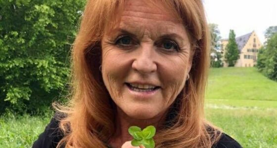 Where's Fergie? From LA guest house to Wiltshire mansion