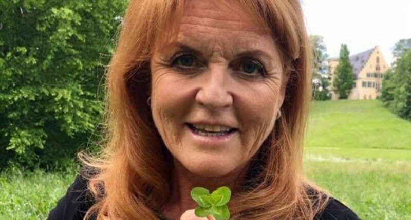 Where's Fergie? From LA guest house to Wiltshire mansion