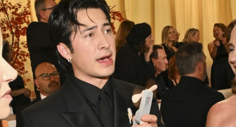 'Whining' Oscars stars accused of hijacking red carpet with politics