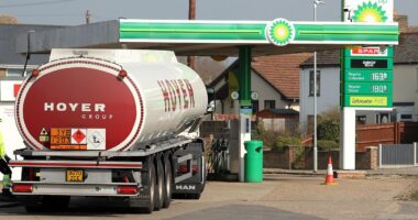 White van men 'bleeding cash' after cost of diesel soars