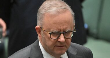 Why Aussie voters are abandoning the two major political parties