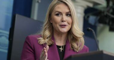 Why Can't Leftist Outlets Figure Out That It Goes Very Badly for Them When They Cross Karoline Leavitt?