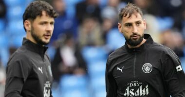 Why English goalkeepers have become an endangered species in the Premier League: With clubs on course to shatter unwanted record, MATT BARLOW analyses why English keepers are given fewer opportunities than ever before