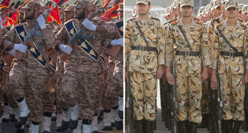 Why Trump is obliterating one Iranian army but sparing another