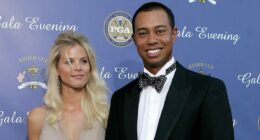 Why Woods' ex-wife Elin Nordegren is 'concerned' after DUI arrest