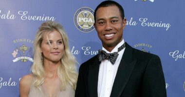 Why Woods' ex-wife Elin Nordegren is 'concerned' after DUI arrest