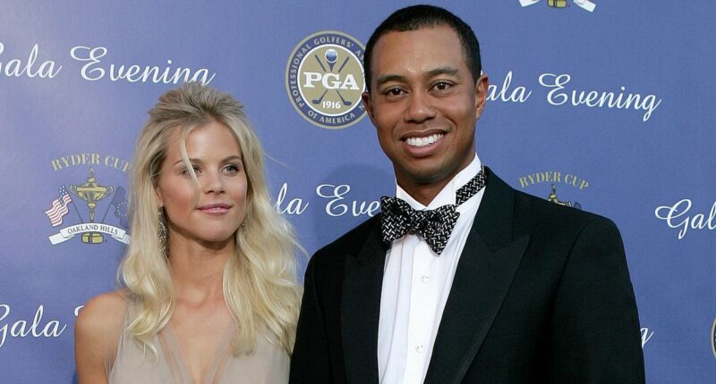 Why Woods' ex-wife Elin Nordegren is 'concerned' after DUI arrest