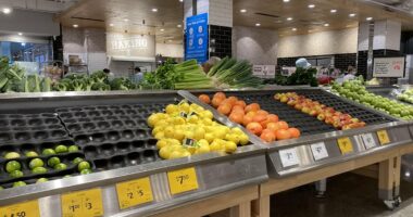 Why millions of Aussies are being pushed closer to 'breaking point'