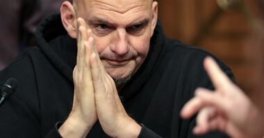 Why one Democrat broke ranks to save Trump's DHS nominee