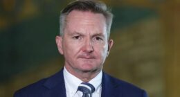 Minister for Climate Change and Energy Chris Bowen during a press conference  at Parliament House in Canberra on Tuesday 17 March 2026. He has now suggested more Aussies should work from home during the current fuel crisis.