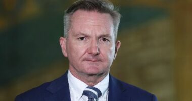 Minister for Climate Change and Energy Chris Bowen during a press conference  at Parliament House in Canberra on Tuesday 17 March 2026. He has now suggested more Aussies should work from home during the current fuel crisis.