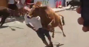 Wild moment raging bull knocks festivalgoer out with a flying headbutt