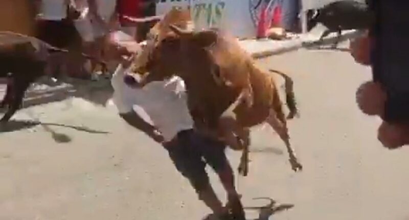 Wild moment raging bull knocks festivalgoer out with a flying headbutt