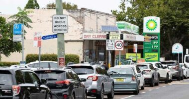 Cars lining up outside a petrol station in Mascot, Sydney.