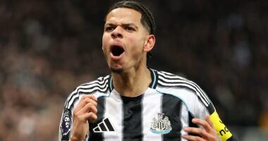 William Osula's wonder strike against Manchester United was sensational... but was it better than these? Our writers have their say on the goals of the season (and one star gets TWO entries!)