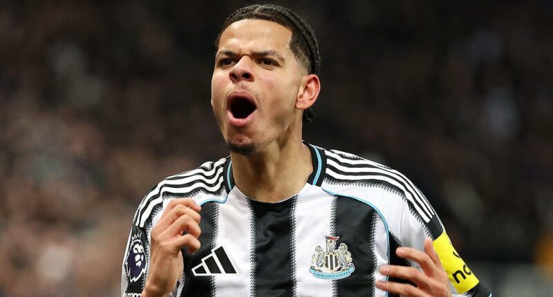 William Osula's wonder strike against Manchester United was sensational... but was it better than these? Our writers have their say on the goals of the season (and one star gets TWO entries!)