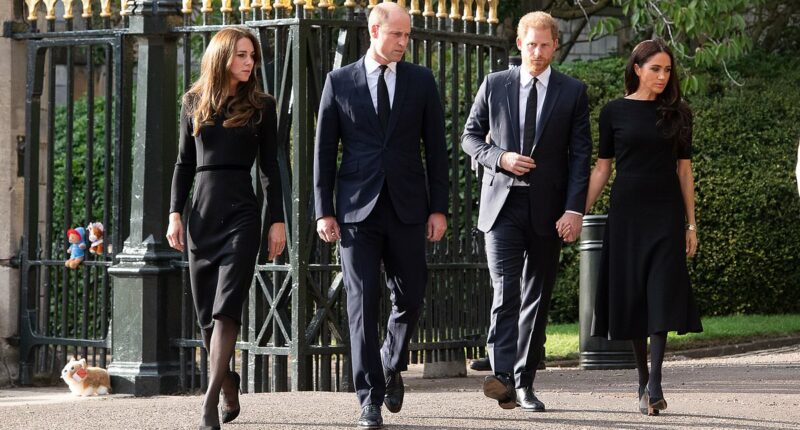 William and Harry's 'argument' before 'awkward' Windsor walkabout