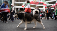 With dogs, dance and uncovered hair, Iranians defy 'unholy alliance' of socialists, radicals: ‘Hypocrites!’