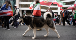 With dogs, dance and uncovered hair, Iranians defy 'unholy alliance' of socialists, radicals: ‘Hypocrites!’
