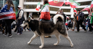 With dogs, dance and uncovered hair, Iranians defy 'unholy alliance' of socialists, radicals: ‘Hypocrites!’
