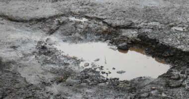 Woke Portland weighs raising high taxes further in bid to fix POTHOLES