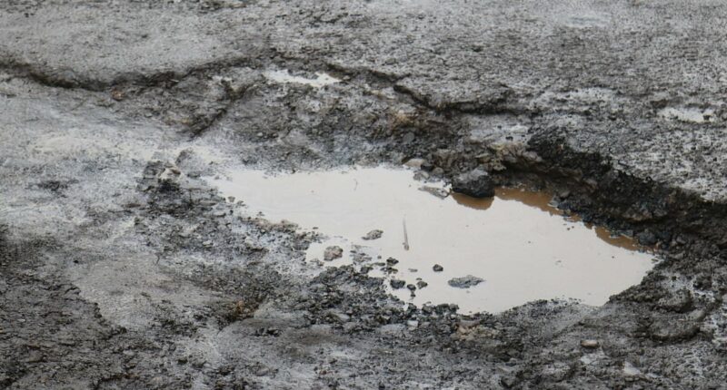 Woke Portland weighs raising high taxes further in bid to fix POTHOLES