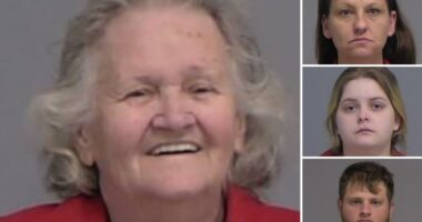 Woman, 79, smiles after baby sickened by meth-laced sippy cup: cops