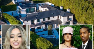 Woman accused of shooting Rihanna's SoCal house has odd past