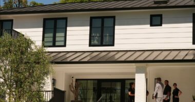 Woman accused of shooting gun at Rihanna's home in alleged attempt to kill her to appear in court