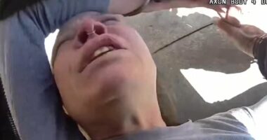 Woman beats pregnant driver, attacks elderly bystander and bites cop