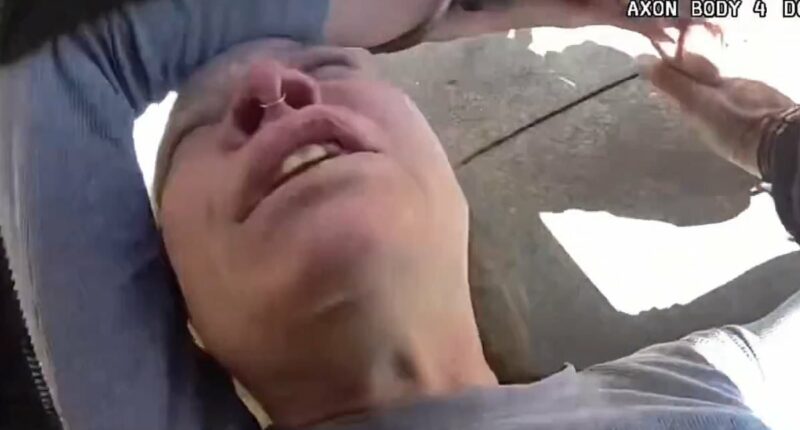 Woman beats pregnant driver, attacks elderly bystander and bites cop