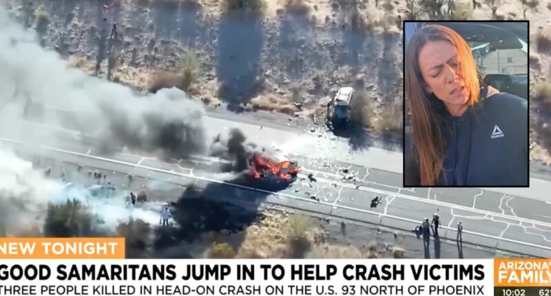 Woman in BMW kills 3 people when she crosses center line of major highway and rams 'head-on' into minivan carrying kids: Authorities