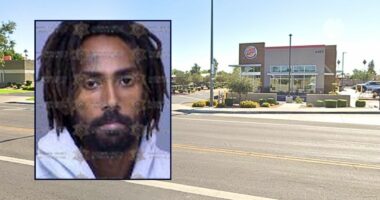 Woman pulls over to exchange info with man she got into minor car crash with and gets stabbed 19 times and left for dead in Burger King parking lot, police say