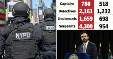 Zo no, NYPD! Experienced cops see little incentive to stay at NYPD