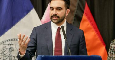 Zohran Mamdani's unveils pared-down version of hyped 'Community Safety' agency -- with just 2 staffers and $260M budget