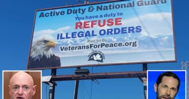 controversial billboard tells you to disobey orders