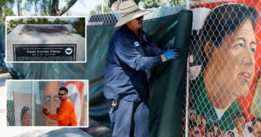 see how much California is spending to erase sites