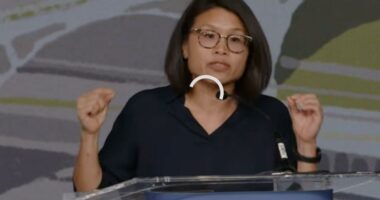 ‘Fix the audio!’ DSA debate turns into online trainwreck as broken livestream sparks viewer revolt