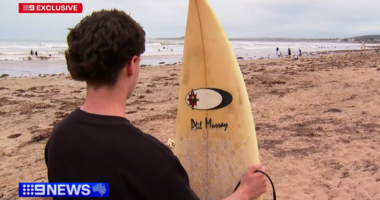 'Grabbed my foot': Surfer bitten by shark in South Australia
