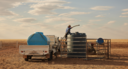 'Wake-up call': How global crisis could be catalyst for reshaping our food supply