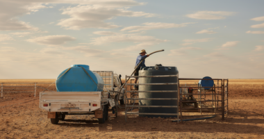 'Wake-up call': How global crisis could be catalyst for reshaping our food supply