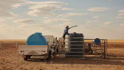 'Wake-up call': How global crisis could be catalyst for reshaping our food supply