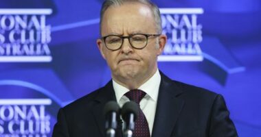 Prime Minister Anthony Albanese during an address to the National Press Club of Australia in Canberra on Thursday 2 April 2026. fedpol Photo: Alex Ellinghausen