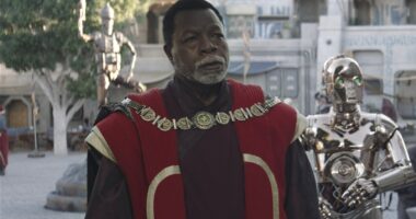 10 Most Successful Athletes-Turned-Actors, Ranked