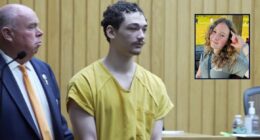 15-year-old accused of stabbing girl 93 times indicted