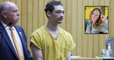 15-year-old accused of stabbing girl 93 times indicted