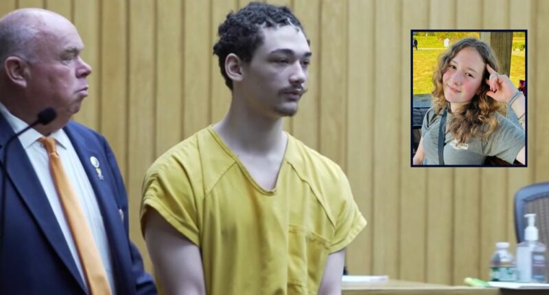 15-year-old accused of stabbing girl 93 times indicted