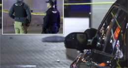 17-year-old sought for attempted murder in mass shooting near University of Iowa: police